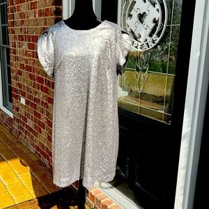 🩶Charming Charlie Pewter Sequin Dress🩶